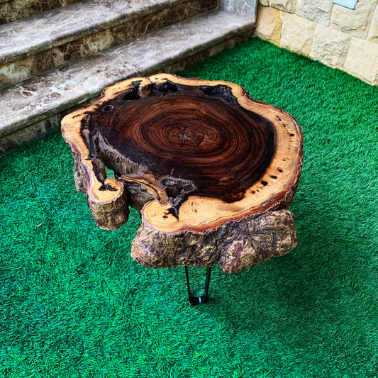 Circular Tree Bark Table